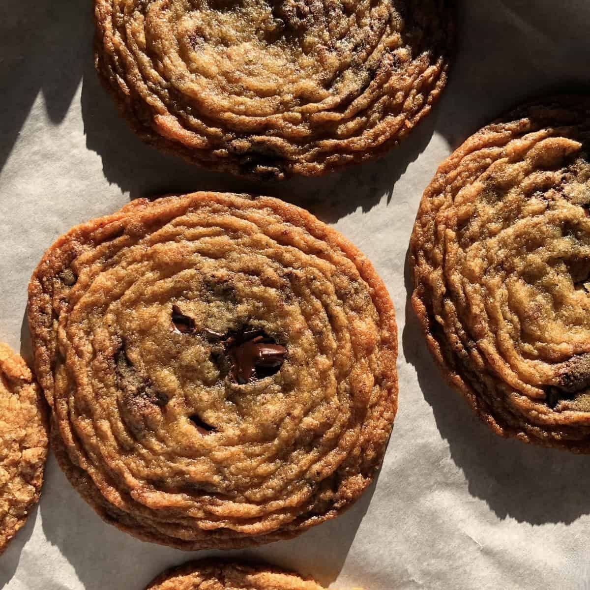 Oversized bakery-style pan-banging chocolate chip cookies on a parchment-lined half-sheet baking pan.