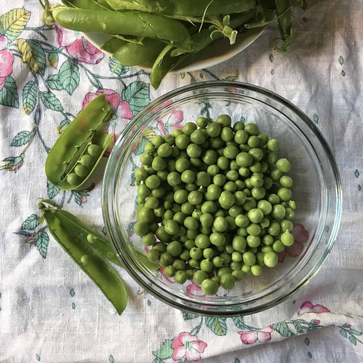 Fresh garden peas alongside shelled peas as a premium substitute for frozen peas in authentic Italian Mediterranean vegetable couscous recipe, showing how to use seasonal ingredients for enhanced flavor and texture in homemade couscous dishes.