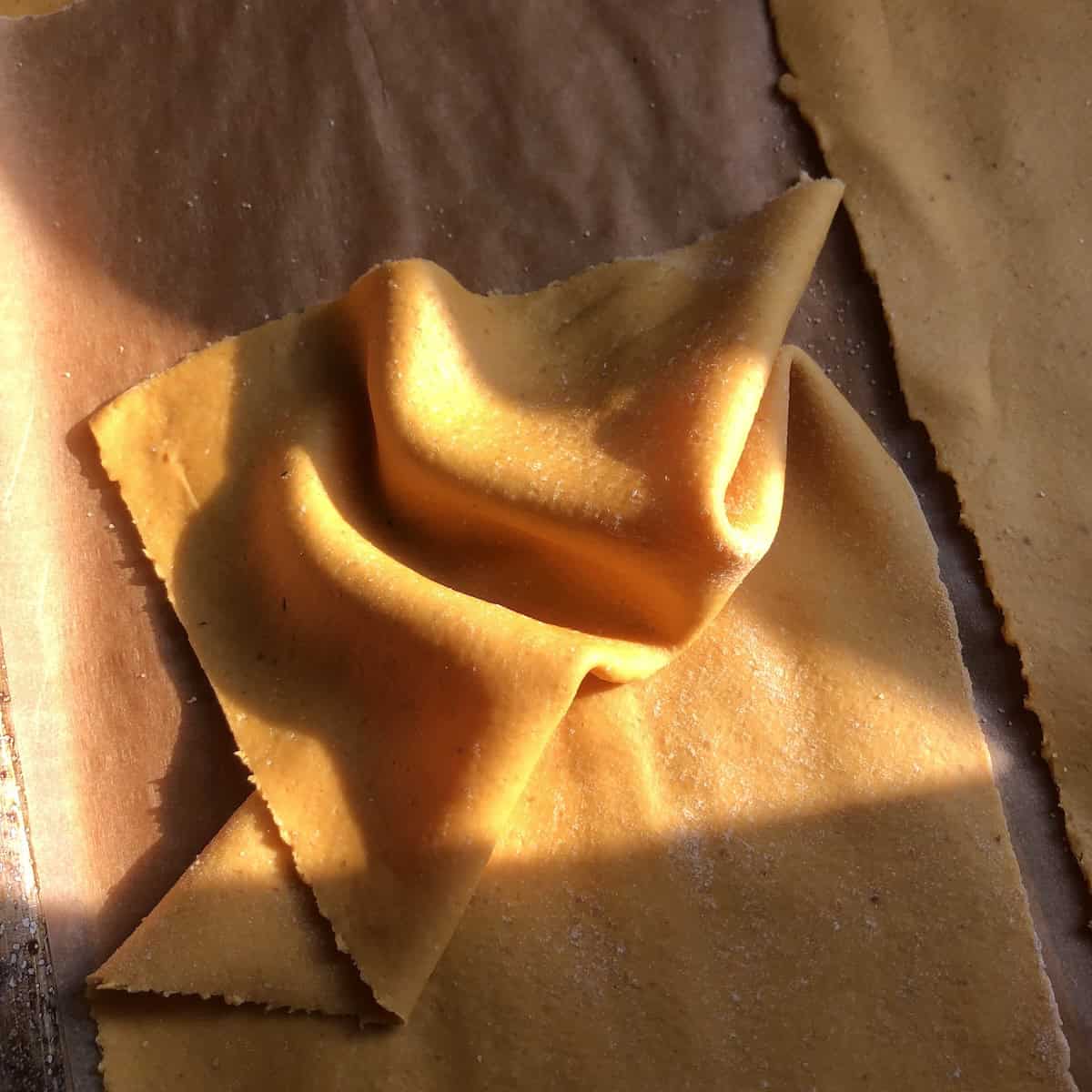 Pumpkin lasagna noodles showing thin ribbon-like pasta sheet texture on parchment paper, homemade fresh lasagna pasta proper thickness.