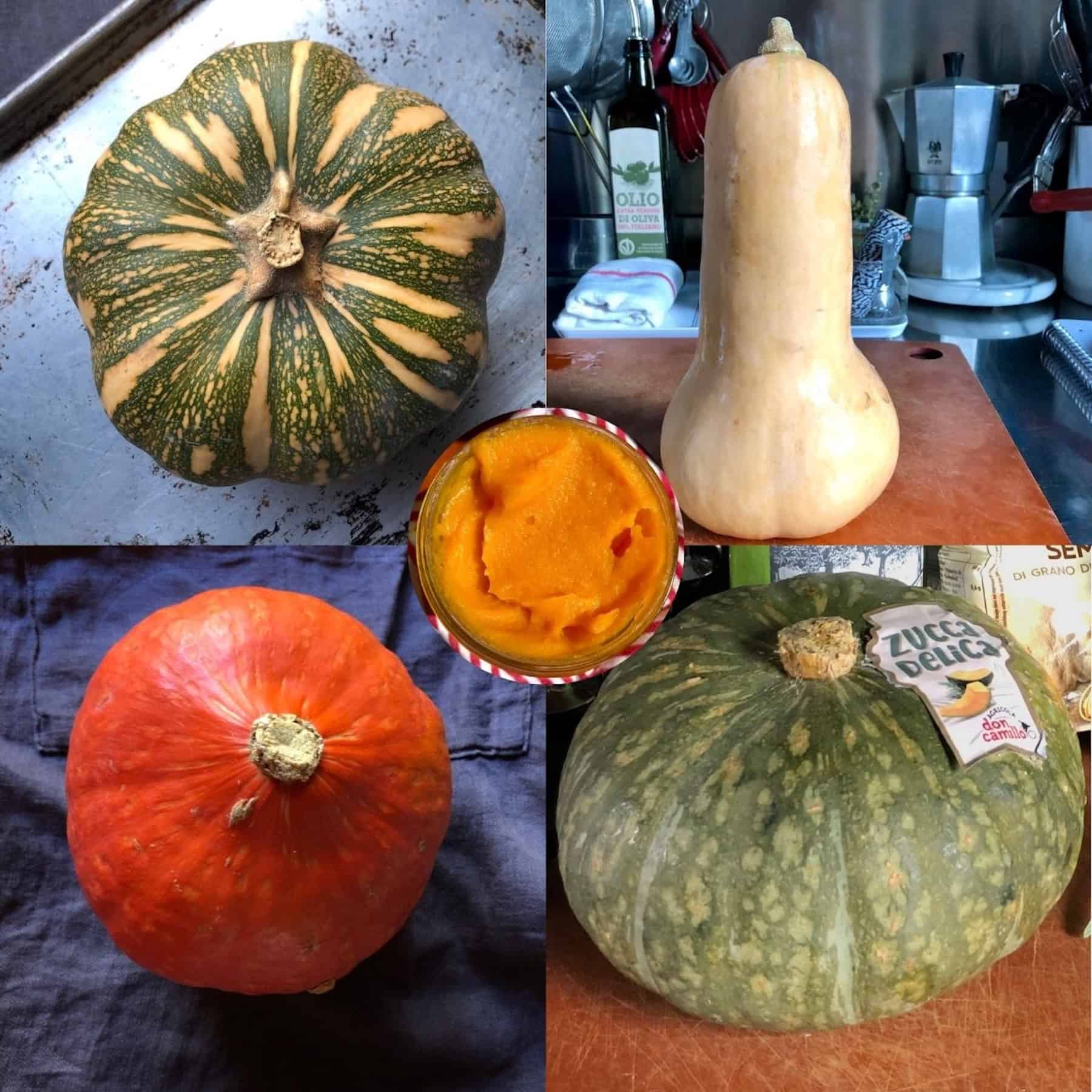 Homemade pumpkin puree in jar with whole delica pumpkin, kabocha squash, hokkaido pumpkin, and butternut squash showing best varieties for making fresh pumpkin puree substitute for canned pumpkin.