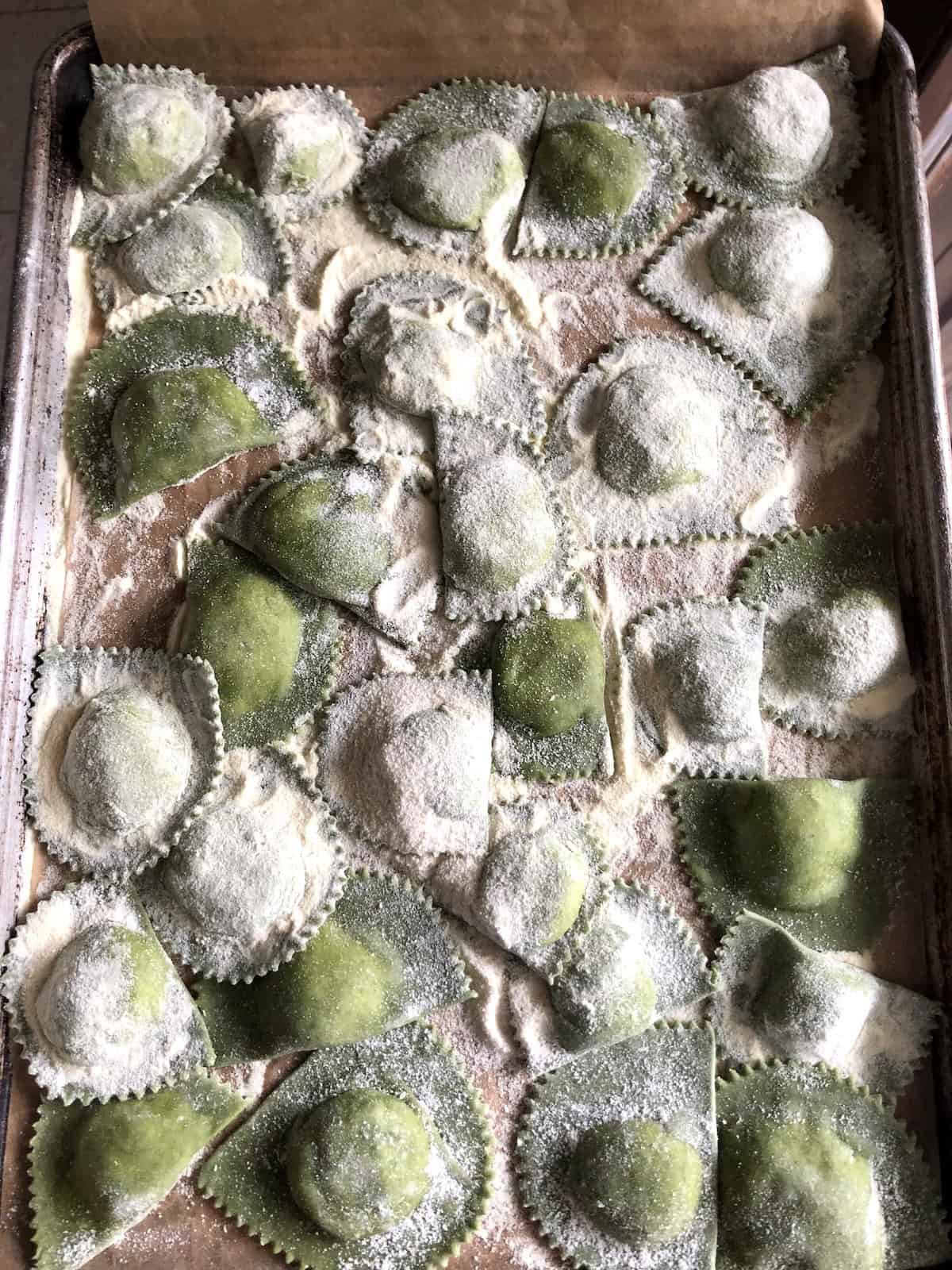 Homemade spinach mezzaluna pasta with spinach-ricotta filling on semolina dusted parchment paper baking sheet, aka half moon ravioli showing storage method before refrigerating or before freezing.