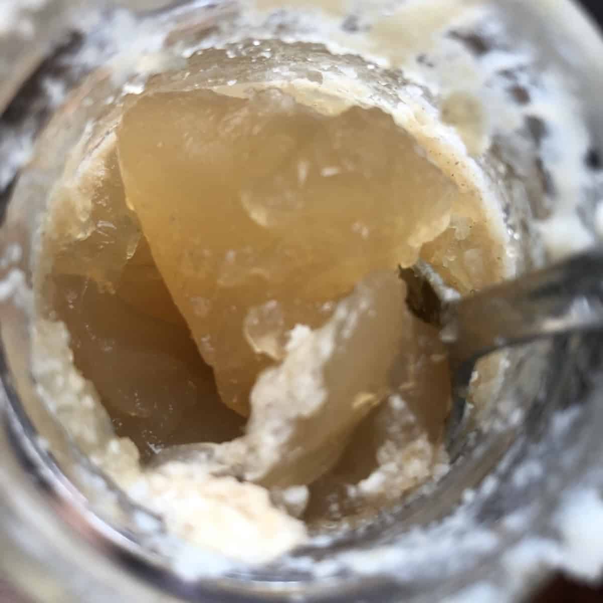 Collagen and gelatin rich homemade chicken broth that has gelled when cooled showing signs of best chicken bone broth recipe with high quality ingredients.