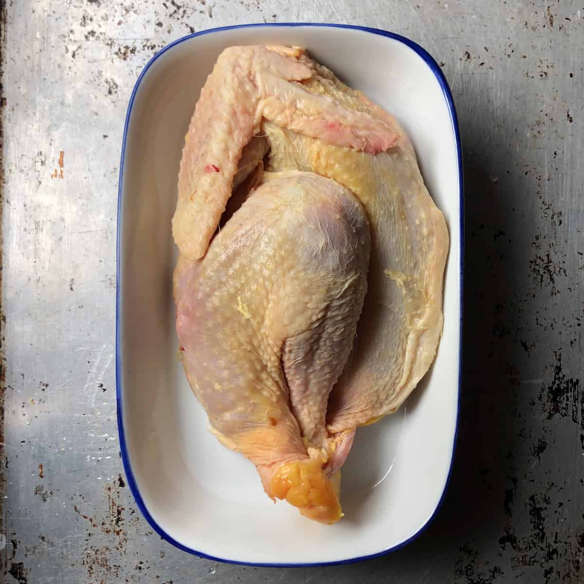 Italian gallina old hen skin side up showing how much darker the meat is underneath than a young chicken (for making an authentic Italian homemade brodo chicken broth recipe traditional Italian style).