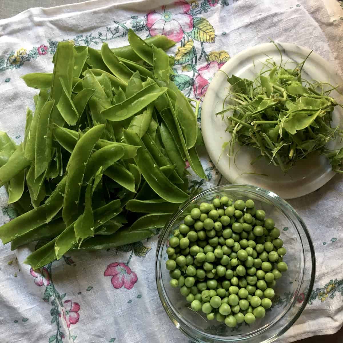 Fresh shelled garden peas in glass bowl with pea shells and tough strings in separate piles showing zero waste cooking ingredients for adding to homemade chicken broth recipe.
