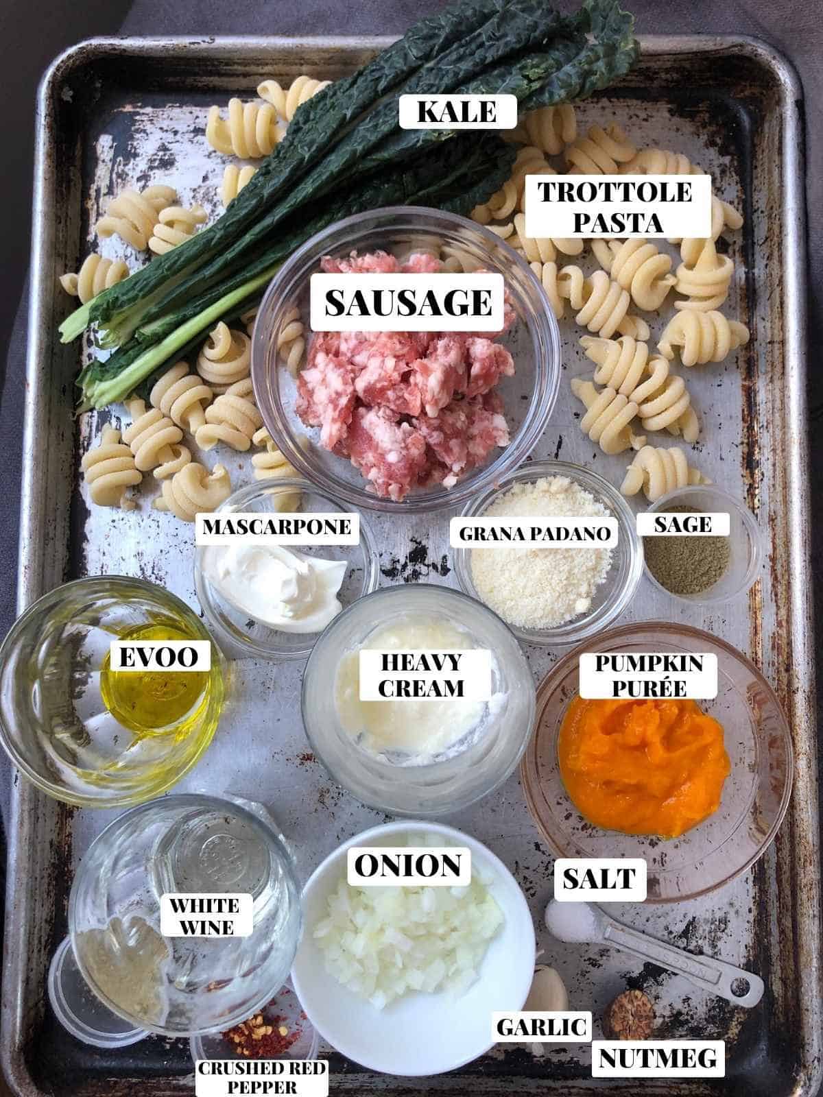Pumpkin pasta sauce recipe ingredients on a sheet pan including pumpkin puree, Italian sausage, kale, mascarpone, cream, trottole pasta, garlic, sage, grana padano cheese, white wine, salt, EVOO, whole nutmeg, and crushed red peppers. 
