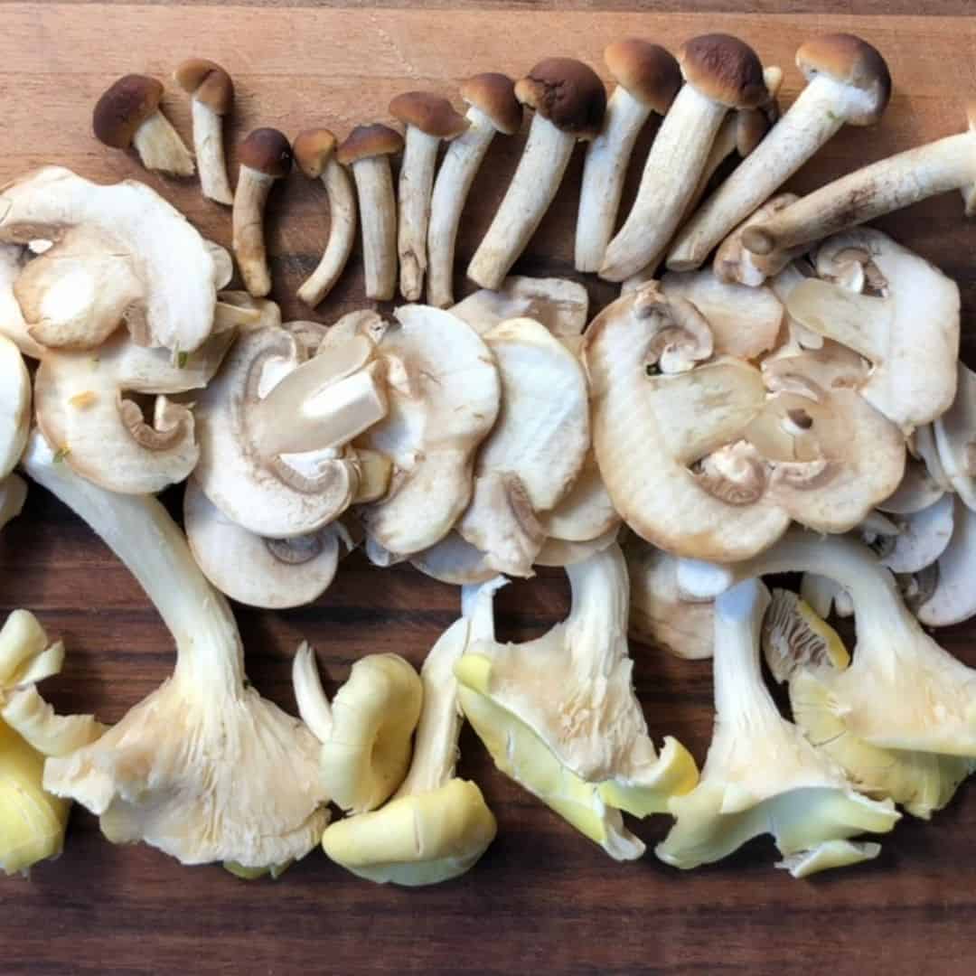 Three types of mushrooms on a cutting board for mushroom pasta recipe: champignon button mushrooms, oyster mushrooms, and pioppini, the best mushrooms for Italian pasta ai funghi.
