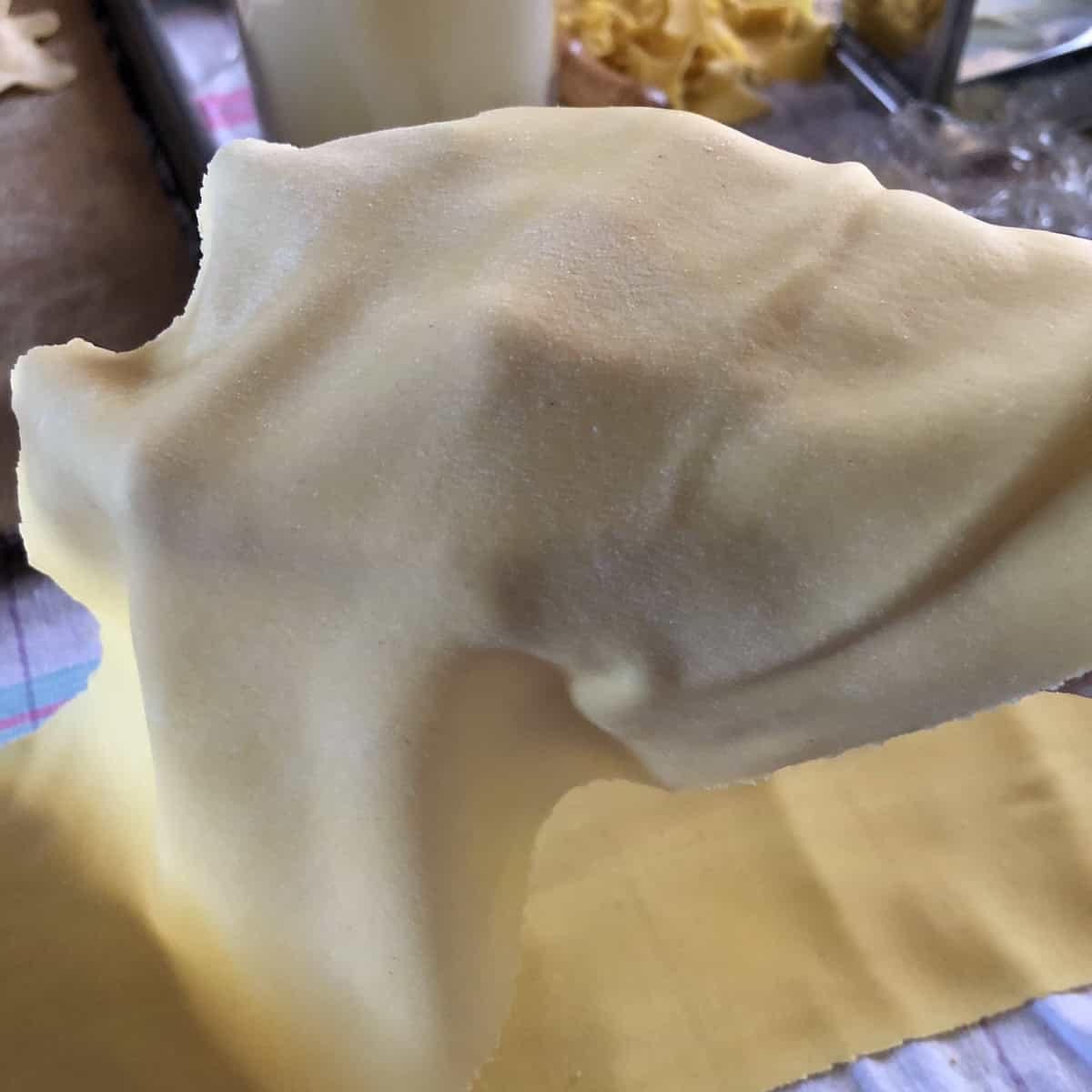 Proper thickness of pasta sheet for homemade ravioli showing hand markings visible through the dough thin enough for lobster ravioli.