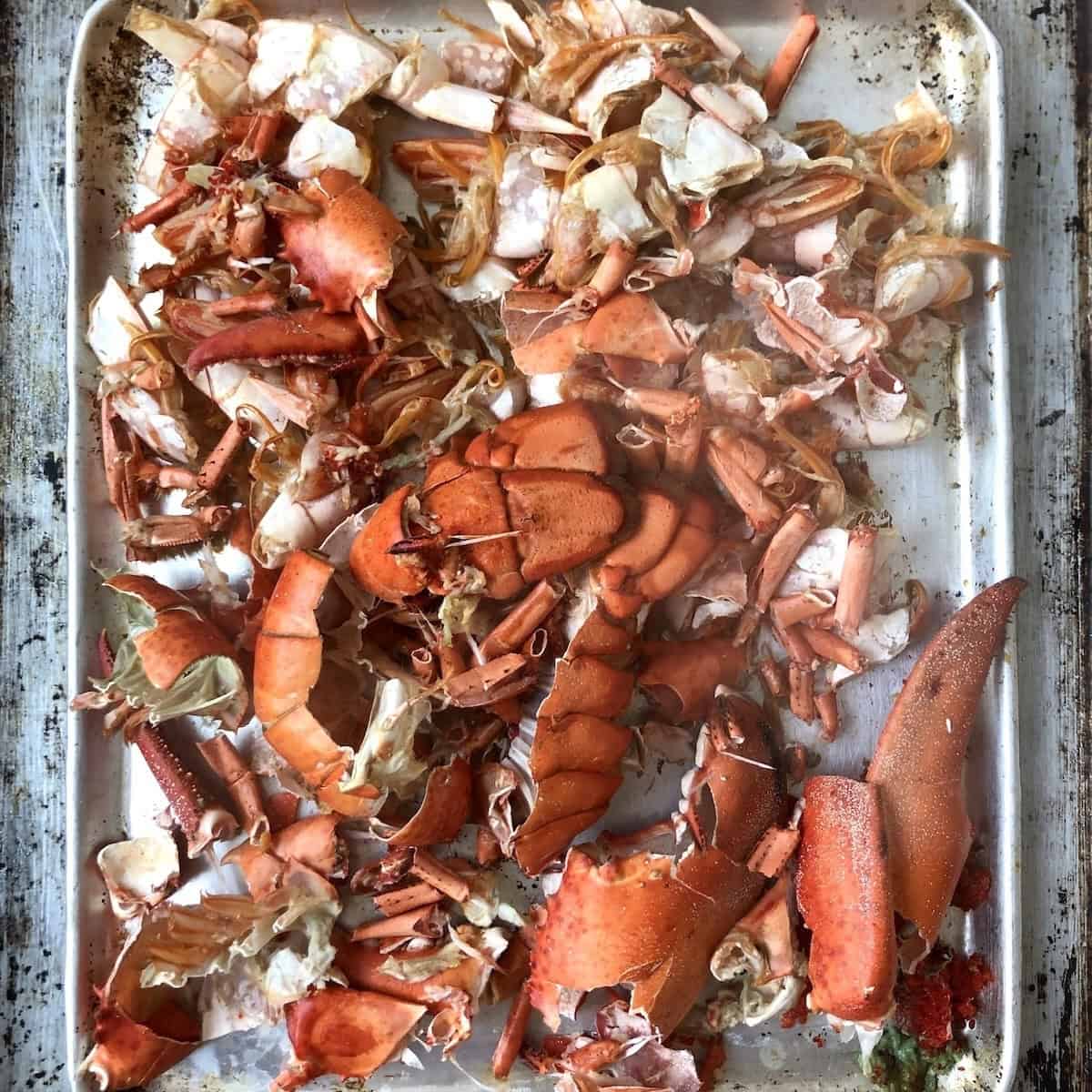 Quick roasted lobster shells and shrimp shells on a baking sheet for making the best homemade seafood stock for lobster ravioli recipe, lobster bisque, etc.