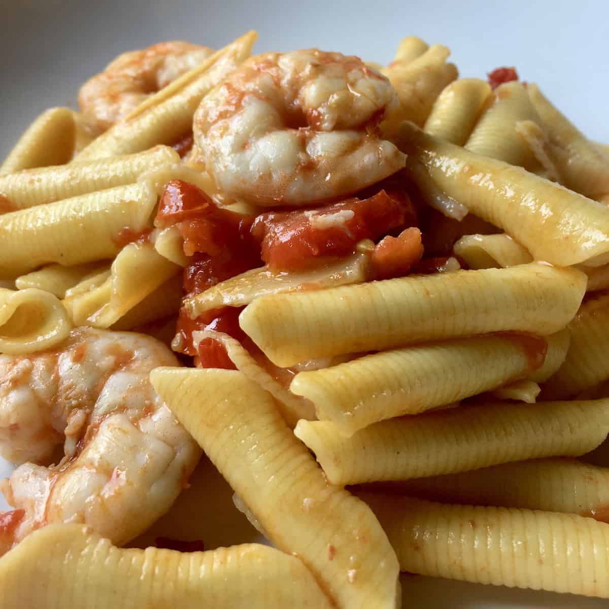 A bowl of 15-minute shrimp pasta with tomato sauce and garganelli pasta, showing juicy sauteed shrimp tossed with ridged garganelli noodles in a light tomato sauce. An easy lenten seafood pasta dinner.