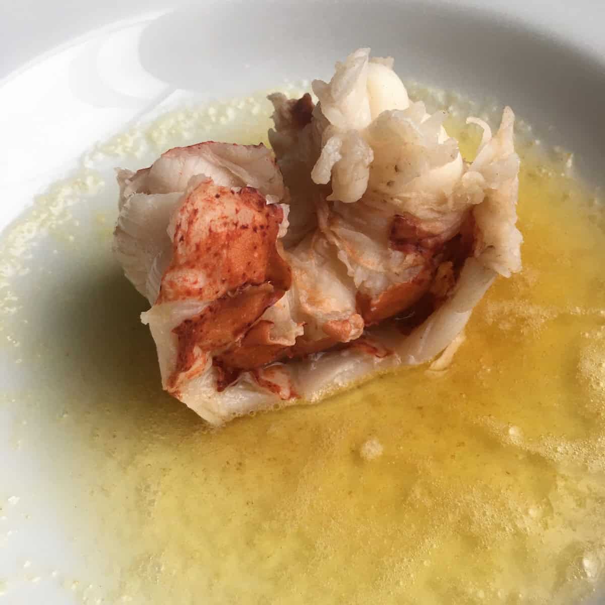 A perfectly boiled lobster tail sitting in a pool of warm clarified butter, showing the bright red and white tender lobster meat. An easy and elegant lenten seafood dinner in just 4 minutes.
