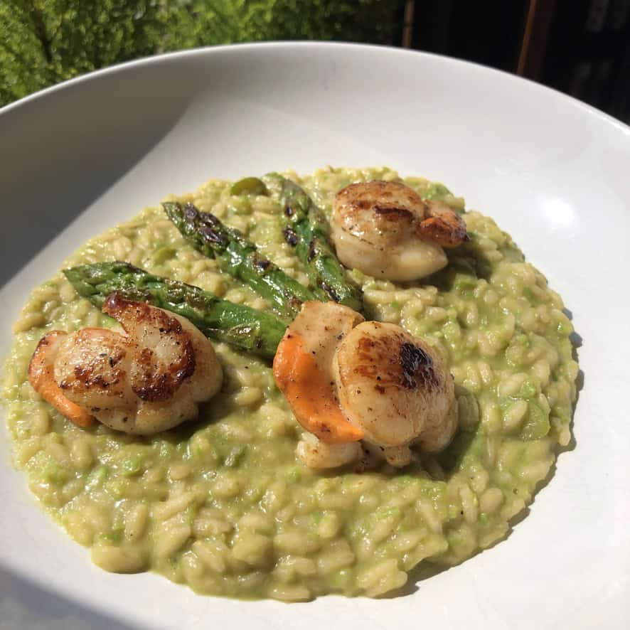 Creamy asparagus risotto topped with pan-seared diver scallops and tender asparagus spears, showing golden seared scallops over vibrant green risotto. A stunning lenten Italian seafood main course.