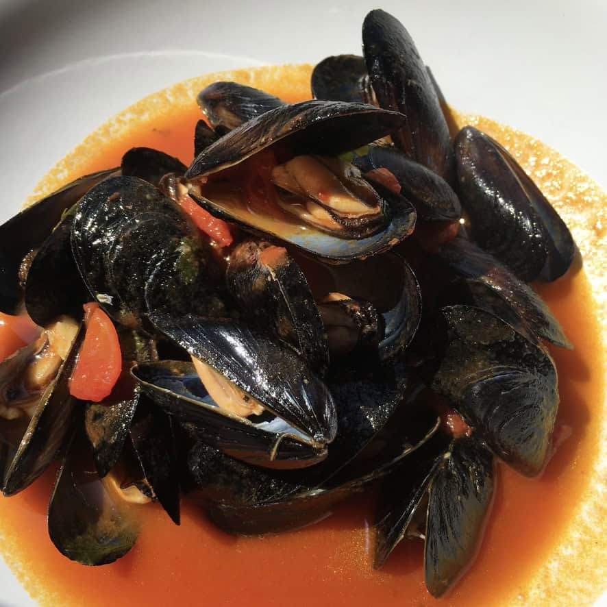 Italian mussels guazzetto in a tomato and white wine garlic sauce with open shells showing plump tender mussels in a rich brothy sauce. A classic lenten Italian seafood dinner ready in minutes.