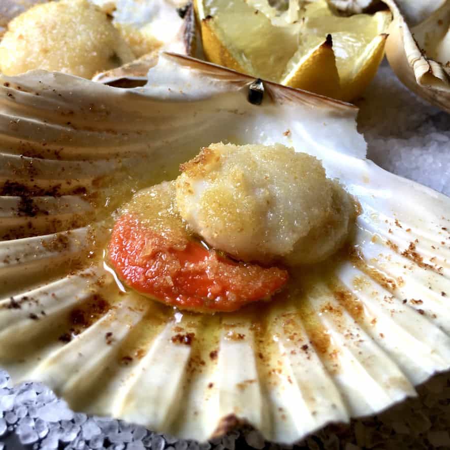 Italian scallops au gratin (capesante gratinate) featuring diver scallops (sea scallops) broiled in the half shell topped with breadcrumbs, butter, Parmigiano-Reggiano, and extra virgin olive oil, golden and bubbly. An elegant lenten seafood appetizer or dinner.