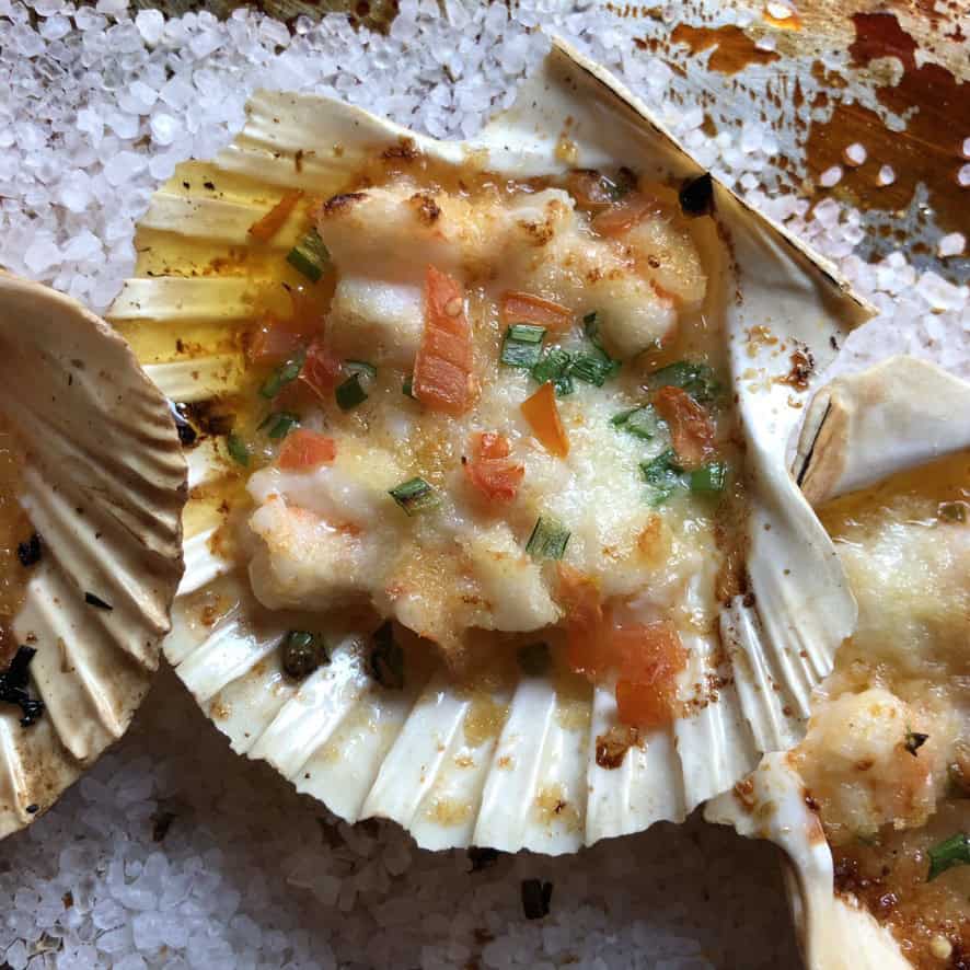 Golden broiled shrimp gratin served in a natural scallop shell, bubbly and caramelized on top. A quick and elegant lenten seafood appetizer or dinner.