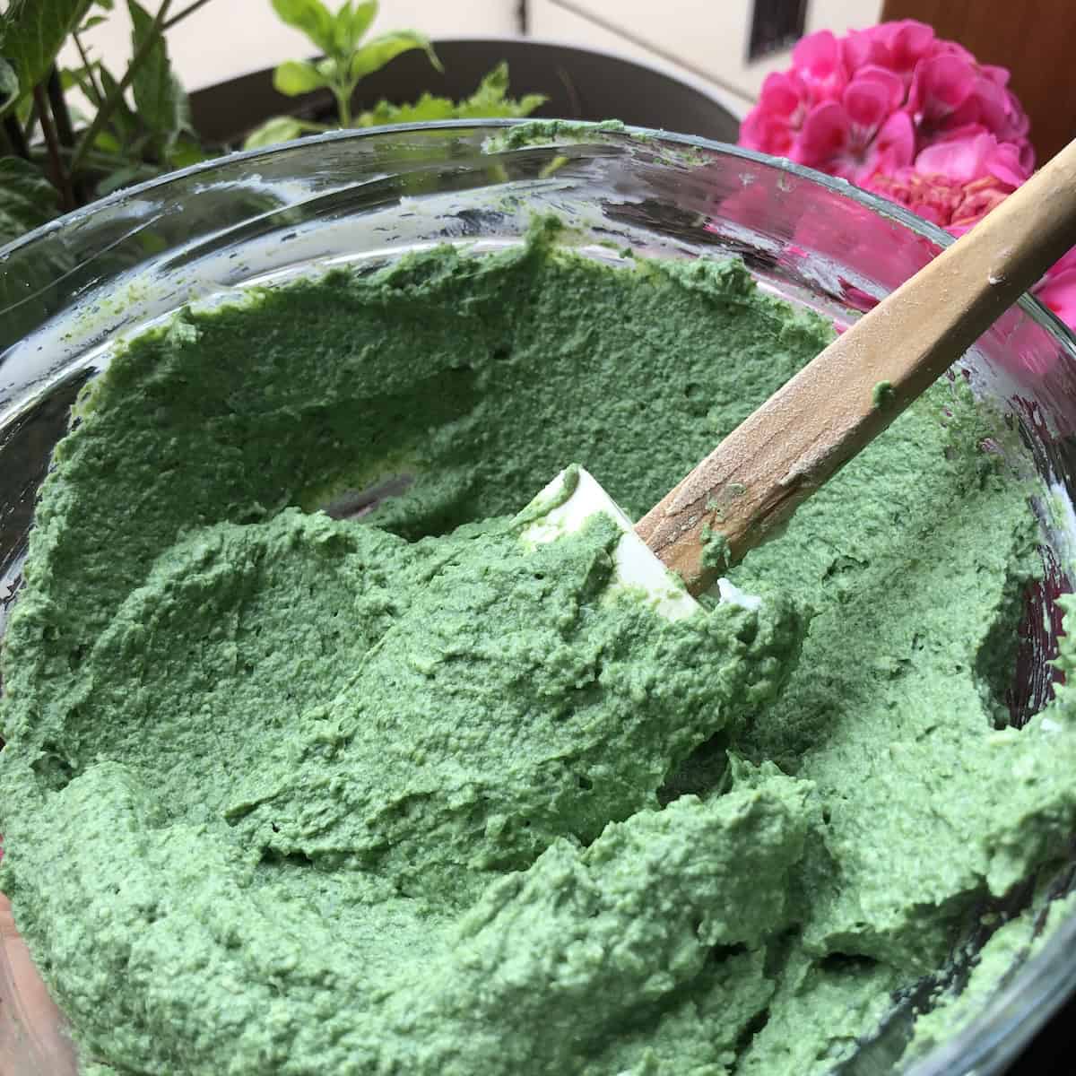 Bright green completely smooth spinach and ricotta ravioli filling made without egg - showing how over-processing the spinach creates a filling that is too smooth and bright in color.