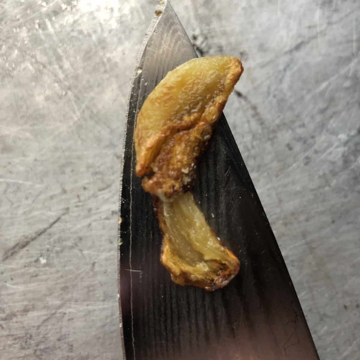 A golden brown fried garlic clove on the end of a knife ready to be made into paste to add depth of flavor to a spinach and ricotta ravioli filling recipe.