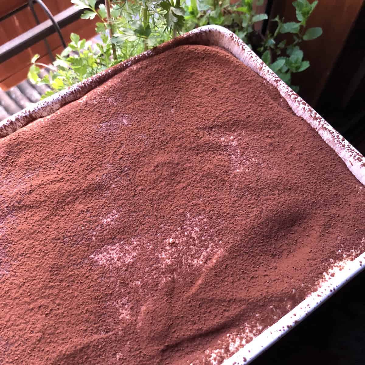 Finished two-layer tiramisu in a 9 by 13 casserole dish dusted with cocoa powder, easy tiramisu for a crowd.
