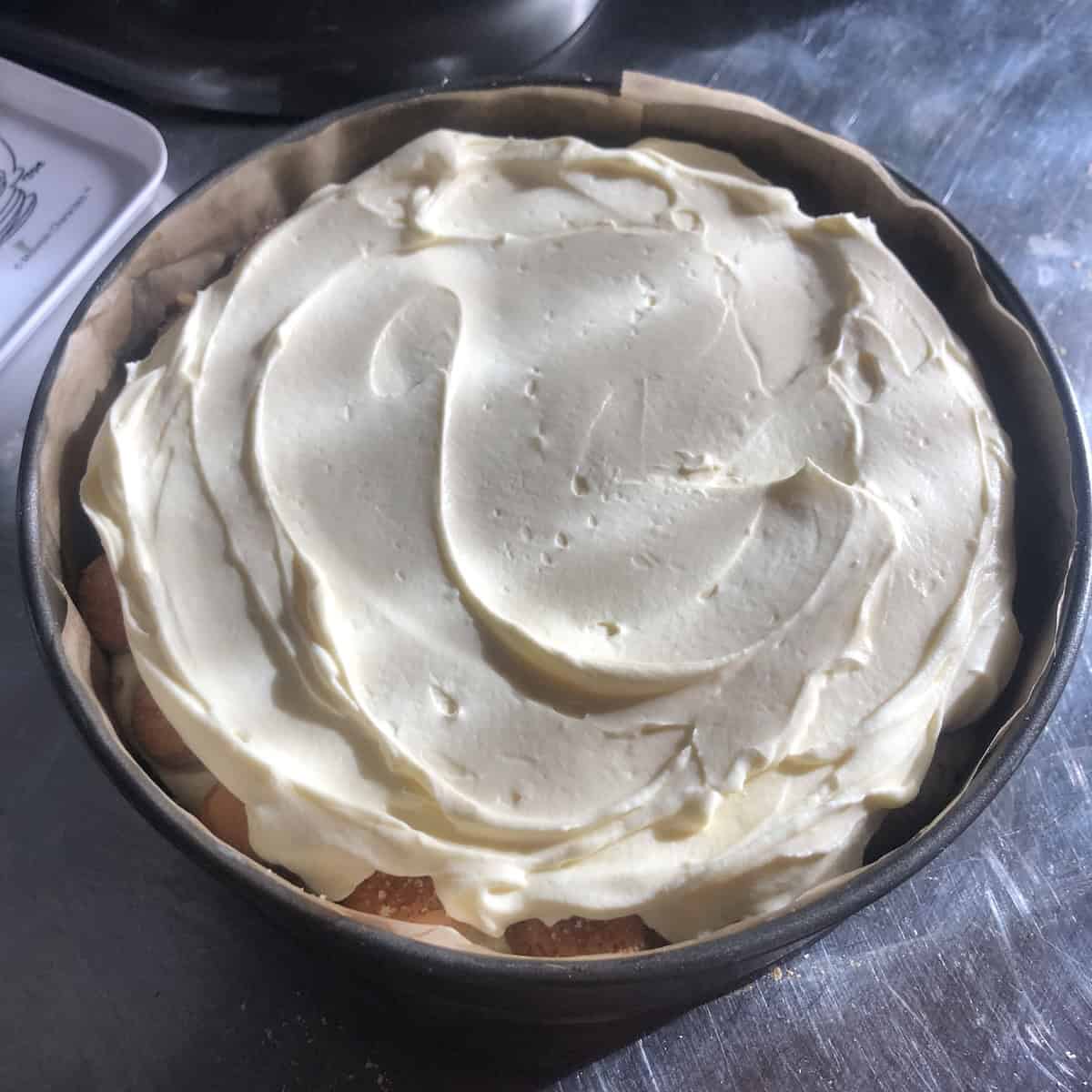 Final top layer of mascarpone tiramisu cream spread evenly over the last layer of soaked ladyfingers.
