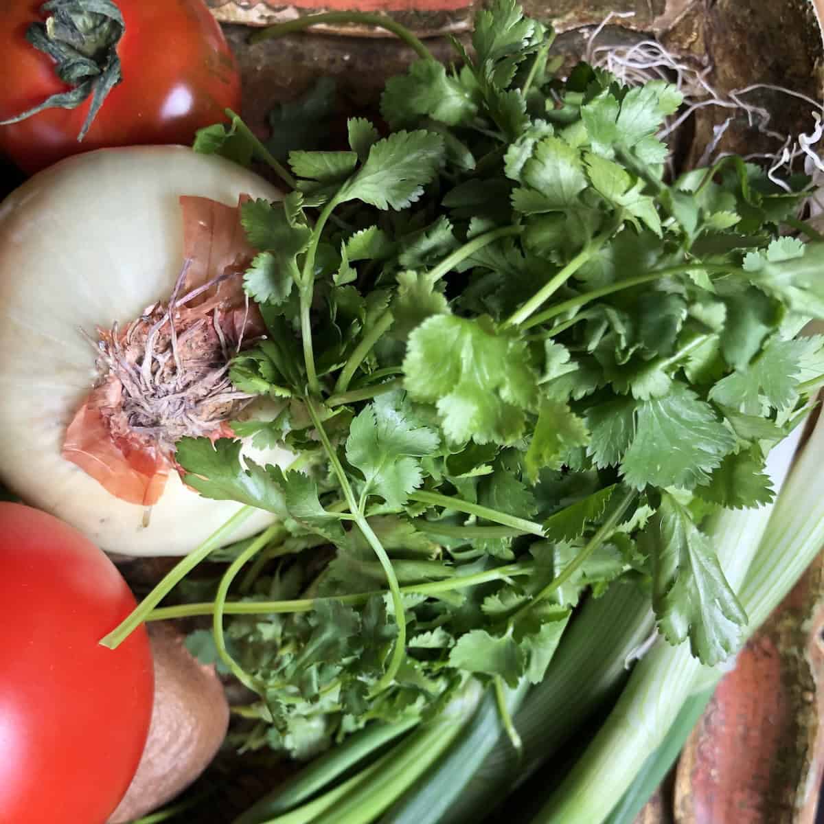 Round red tomatoes, scallions, yellow onion, and fresh cilantro showing substitutions for guacamole ingredients.

