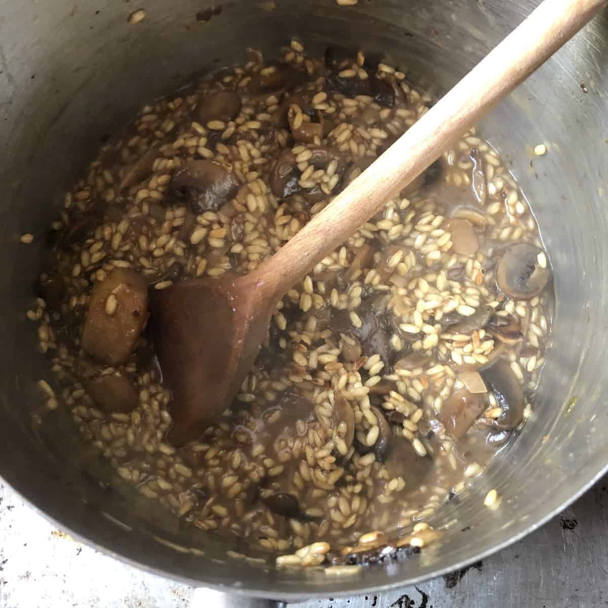 Mushroom risotto mixture in the pot as the broth cooking begins, basic risotto recipe with carnaroli rice, sauteed mushrooms, and broth as it simmers away on medium-high heat.
